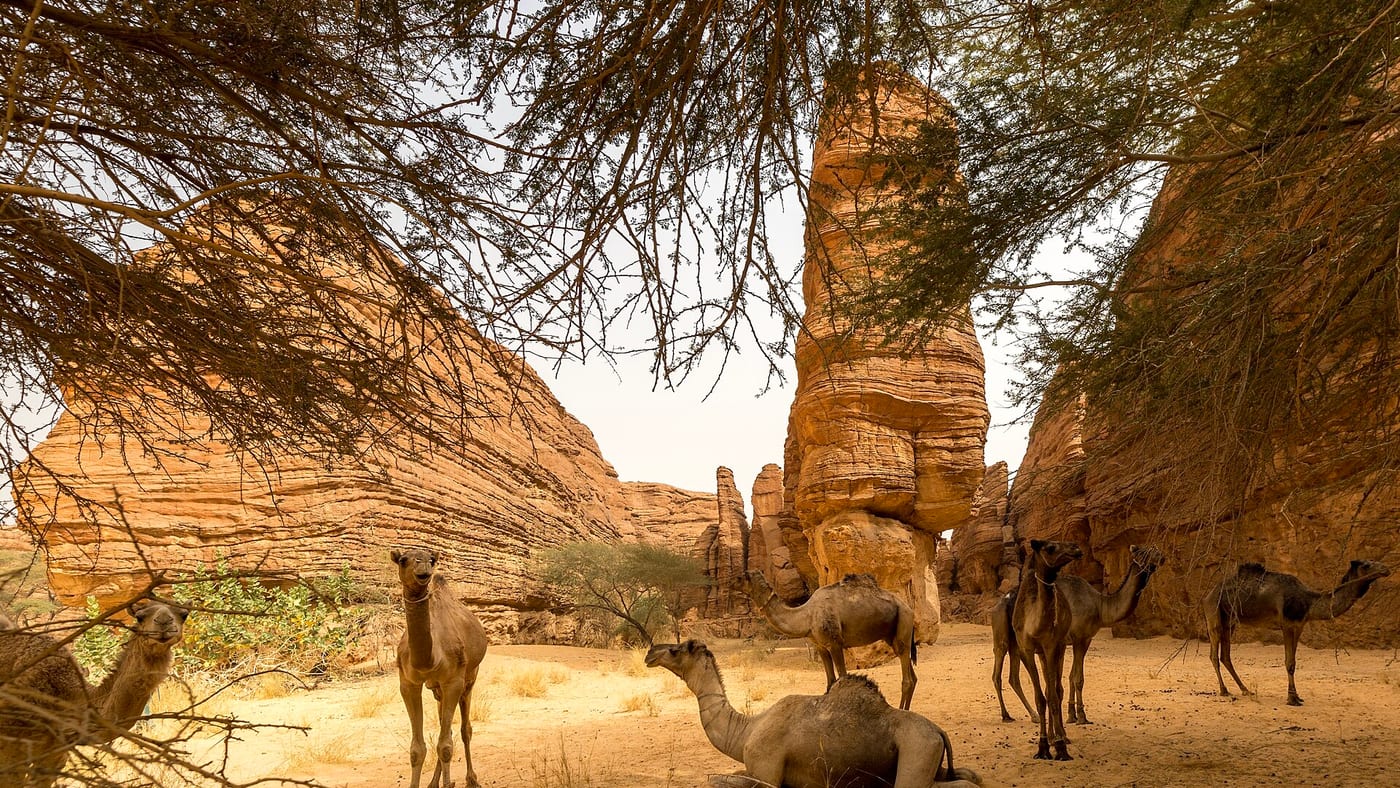 N'Djamena, Chad