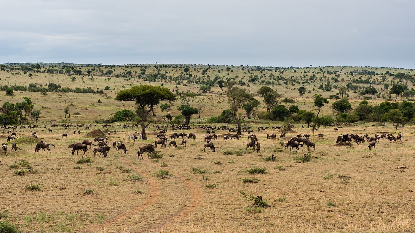Dodoma, Tanzania